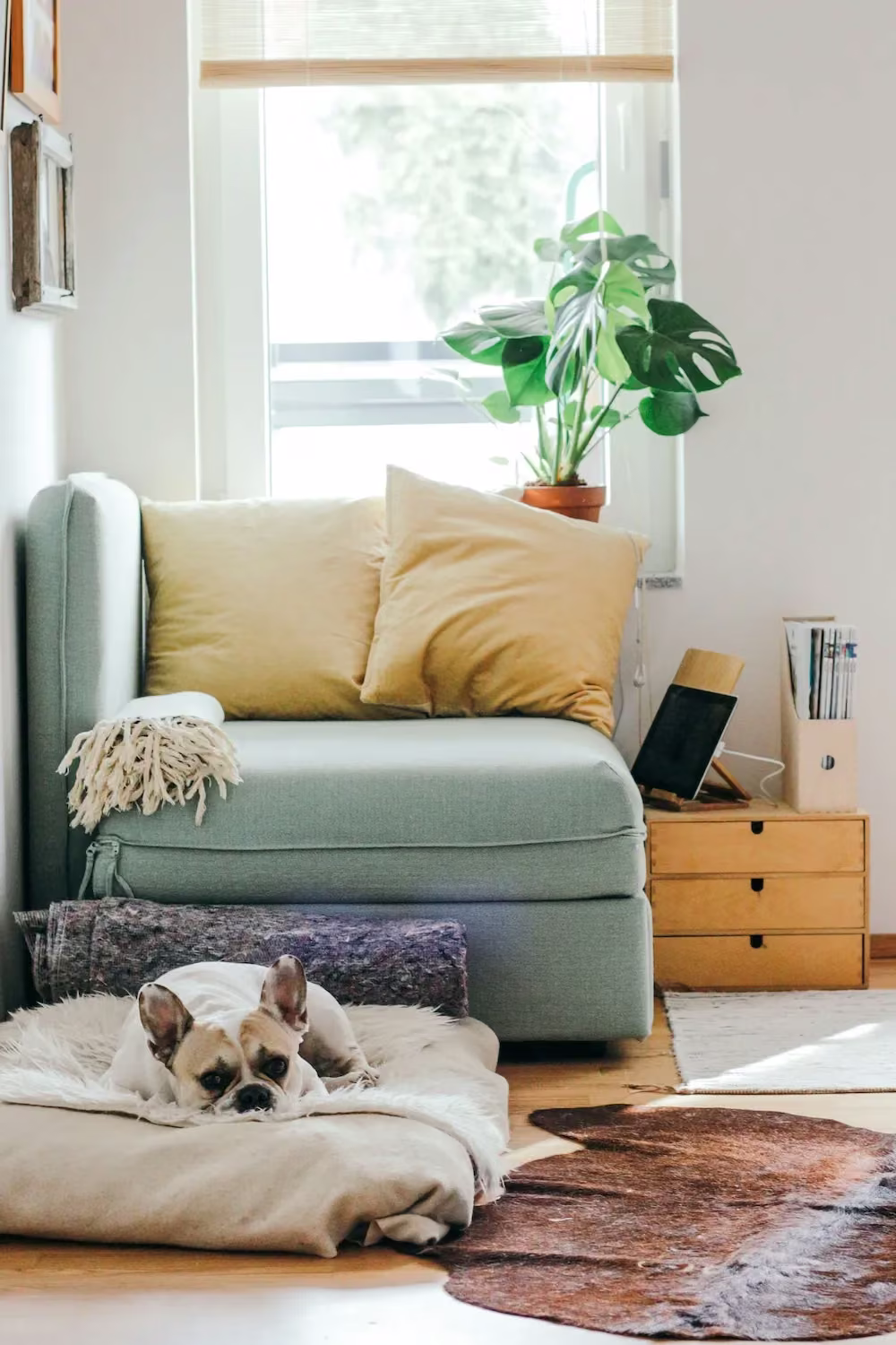 How DVA Cleaning Works in Melbourne